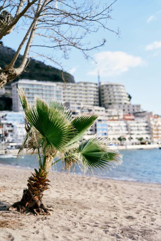 Najljepše plaže u blizini hotela Montenegrina koje morate posjetiti